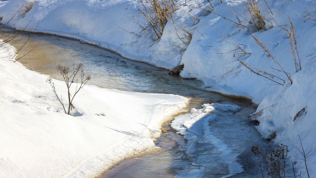   Фото: Федор Воронов/«Ямал-Медиа»