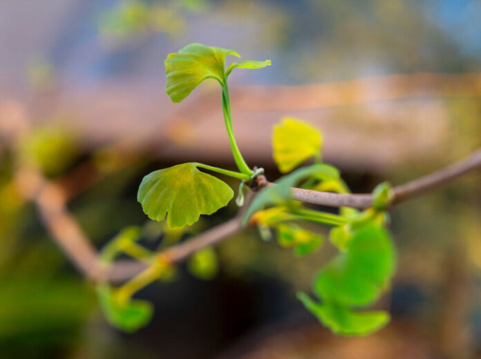    Фото: правительство Пермского края / сайт