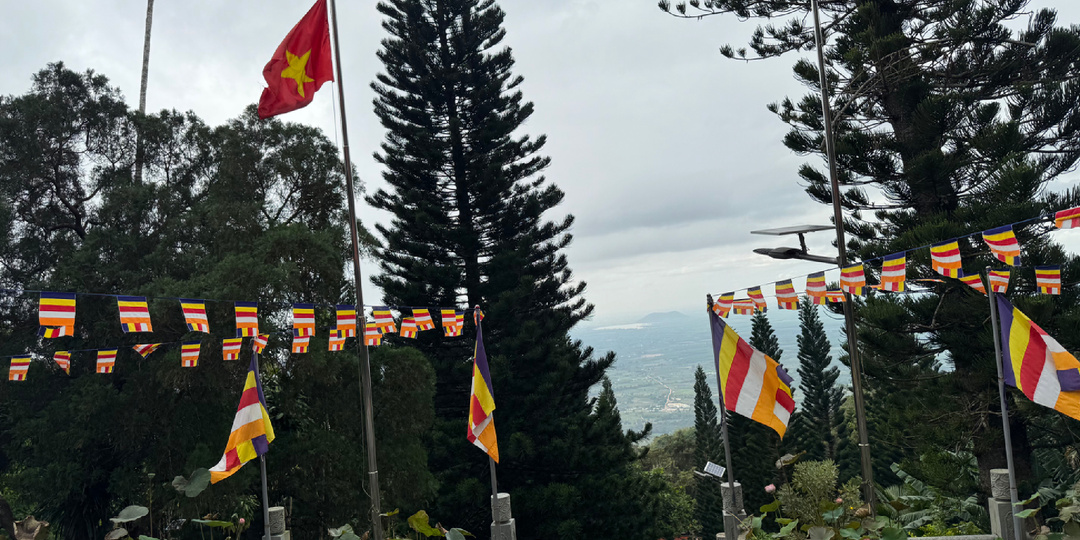 В Индию и Вьетнам без визы?