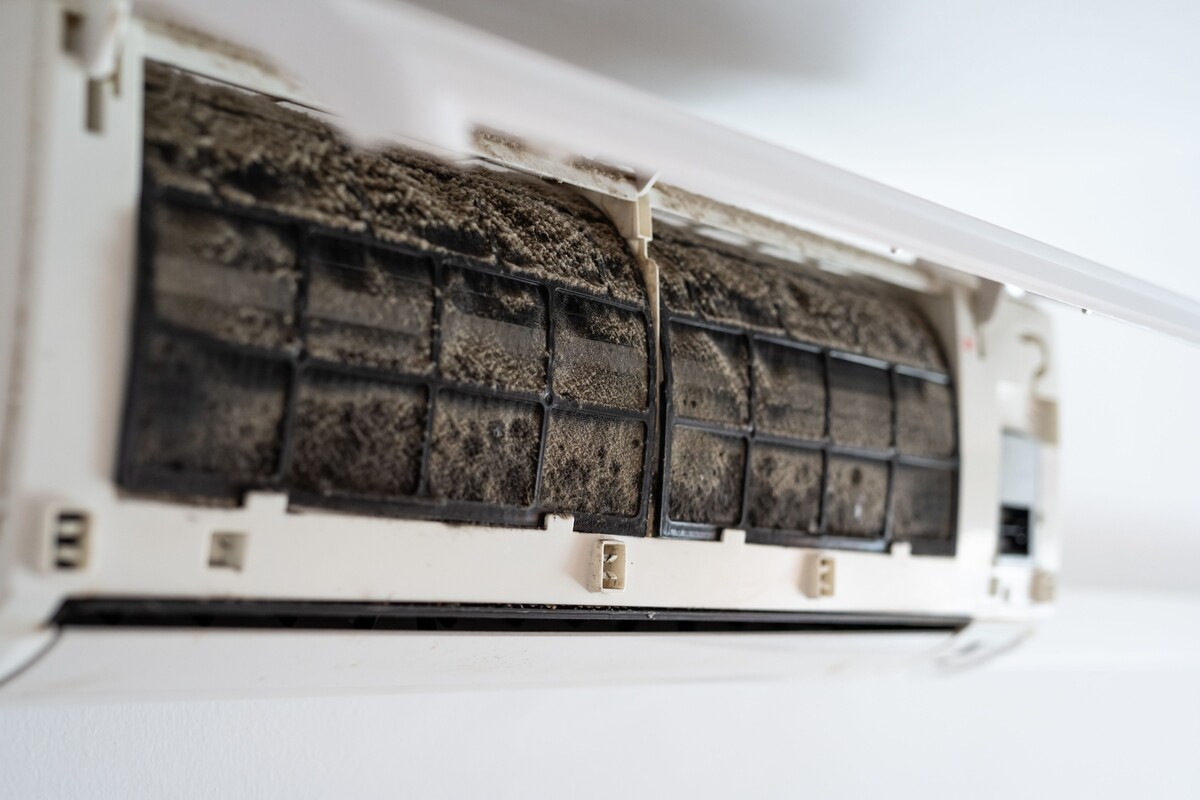 Фото: Shutterstock/FOTODOM/vfhnb12