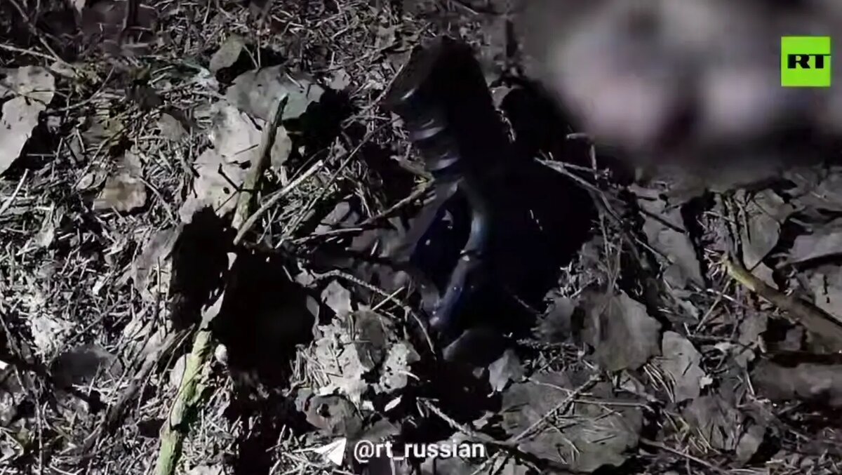    Фото: скриншот видео из телеграм-канала «RT на русском»