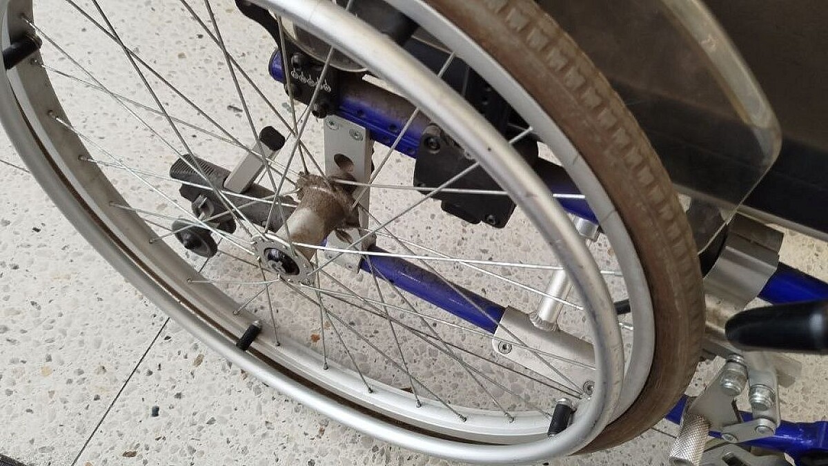    Фото: телеканал «Краснодар»