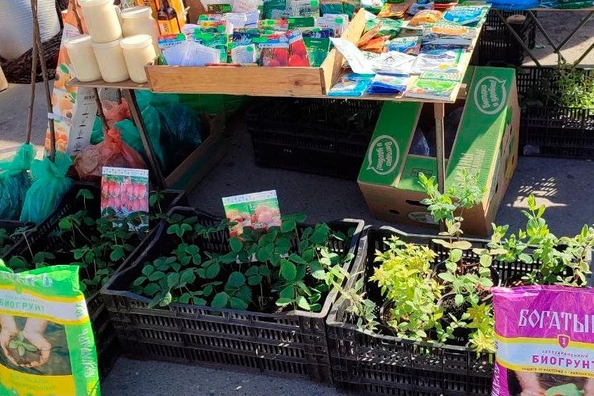    Фото: Правительство Чувашии, источник: cap.ru