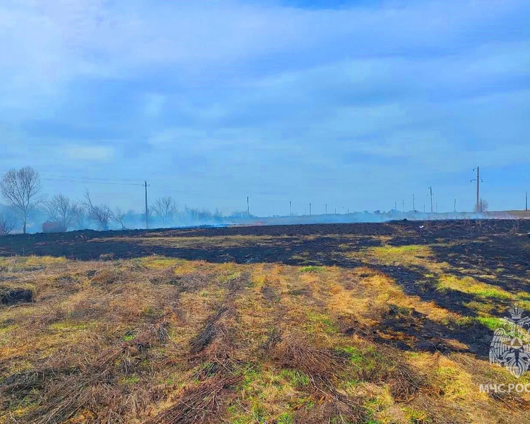     Курянка развела «костёр» на площади 400 квадратных метров