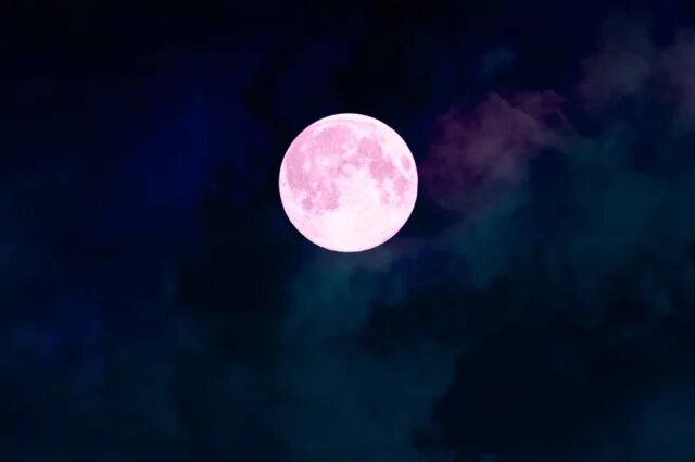    Полнолуние в апреле-2026: когда и где наблюдать за «Розовой Луной»