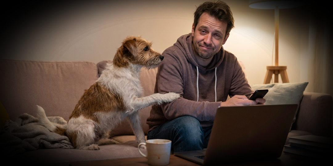 Как одна мелочь ломает поведение собаки