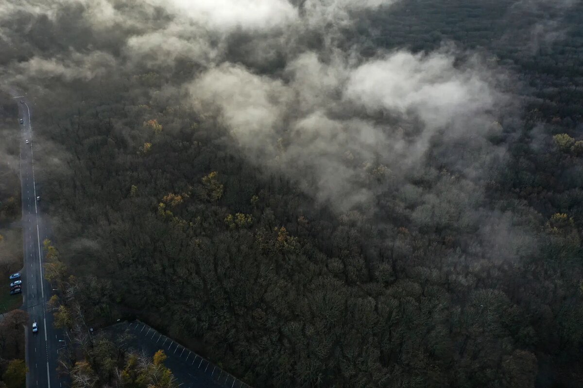     © РИА Новости. Денис Абрамов