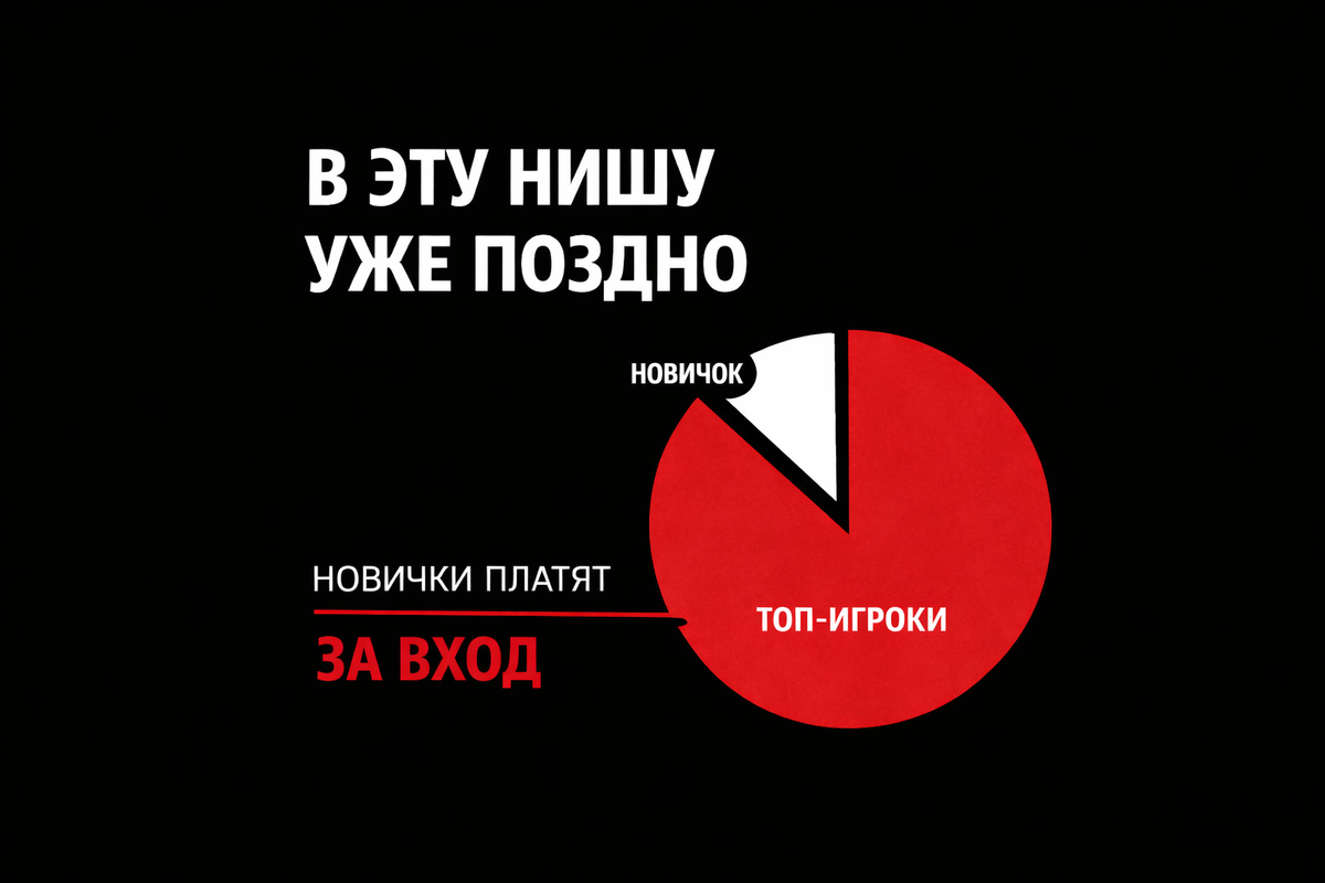 Визуализация перегретой ниши на маркетплейсах: большая часть прибыли уже распределена между топ-игроками, а новые продавцы фактически оплачивают вход в рынок без гарантии прибыли.