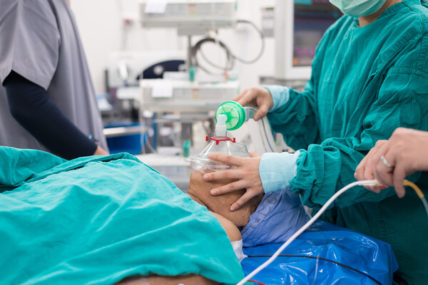 ChaNaWiT/Shutterstock/FOTODOM   📷