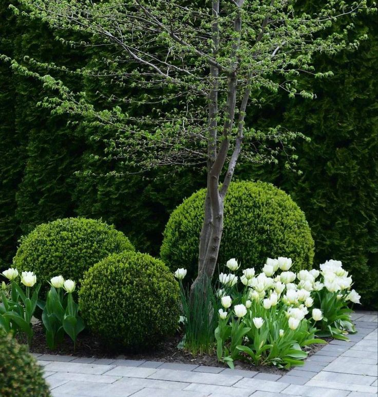 Три яруса сада — золотое правило озеленения. Нарушишь порядок посадки — потеряешь гармонию