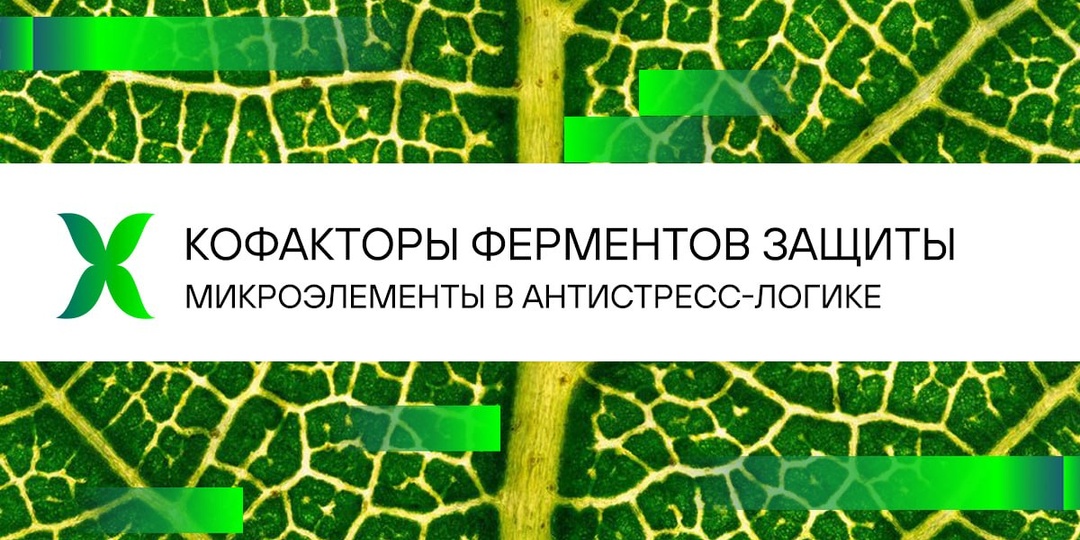 Микроэлементы в антистресс-логике. Кофакторы ферментов защиты