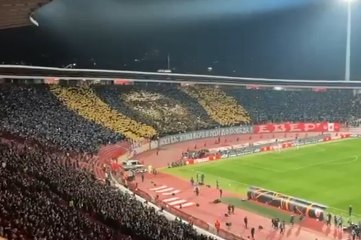    Фото: скриншот видео