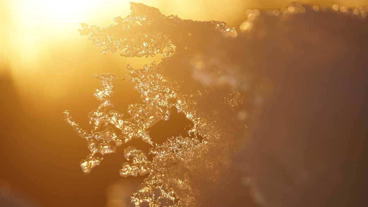    Фото: Анатолий Цымбалюк / Вечерняя Москва