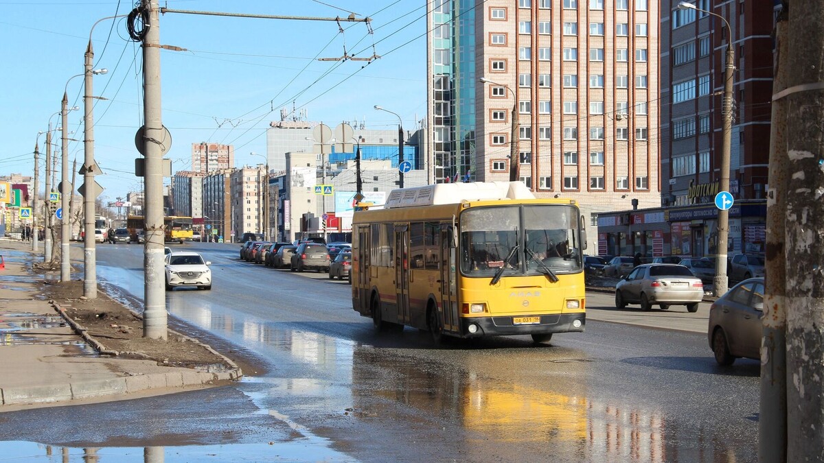     Источник: udm-info.ru