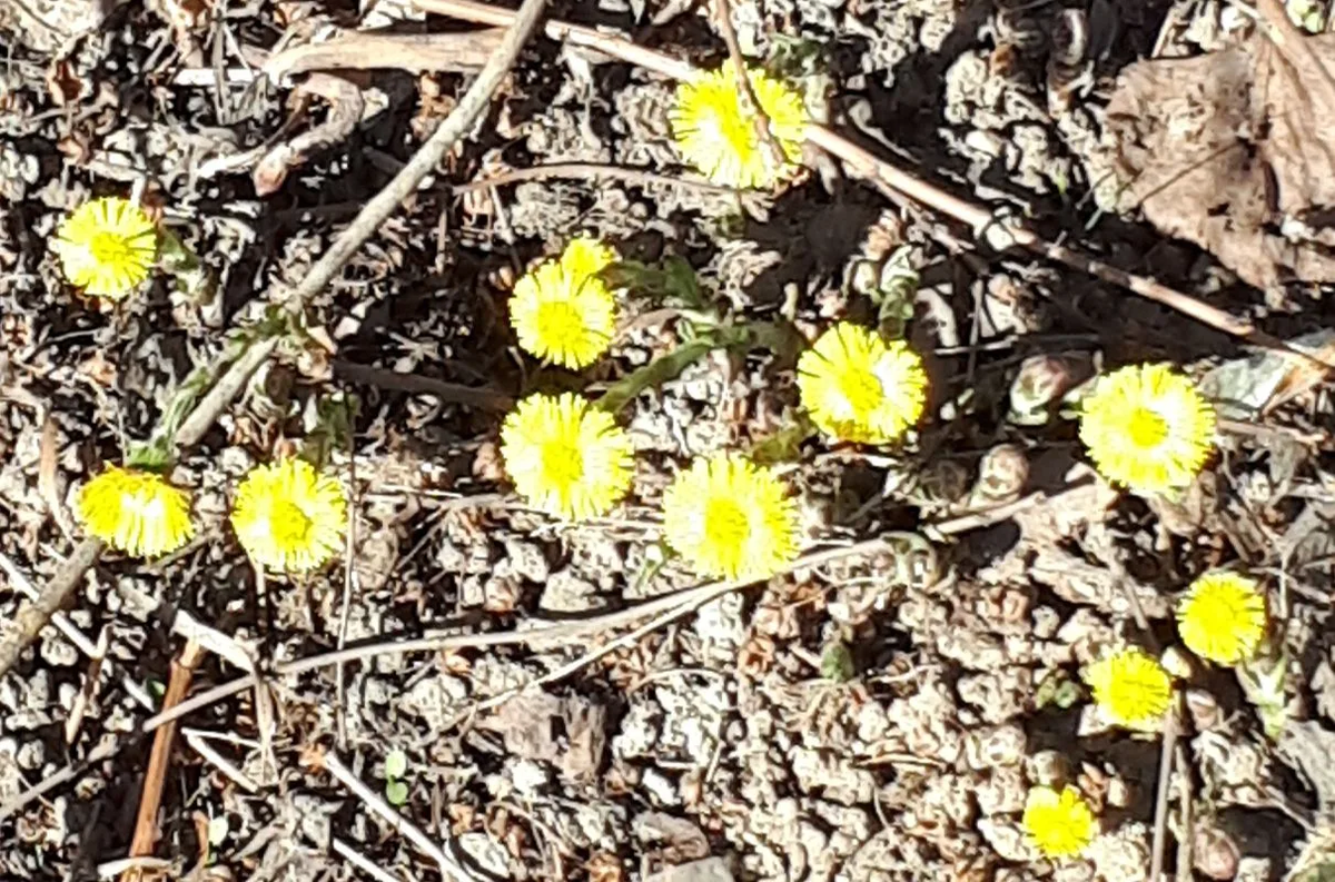 Фото автора статьи 31.03.2026г.