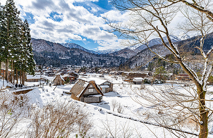    wirestock/freepik.com