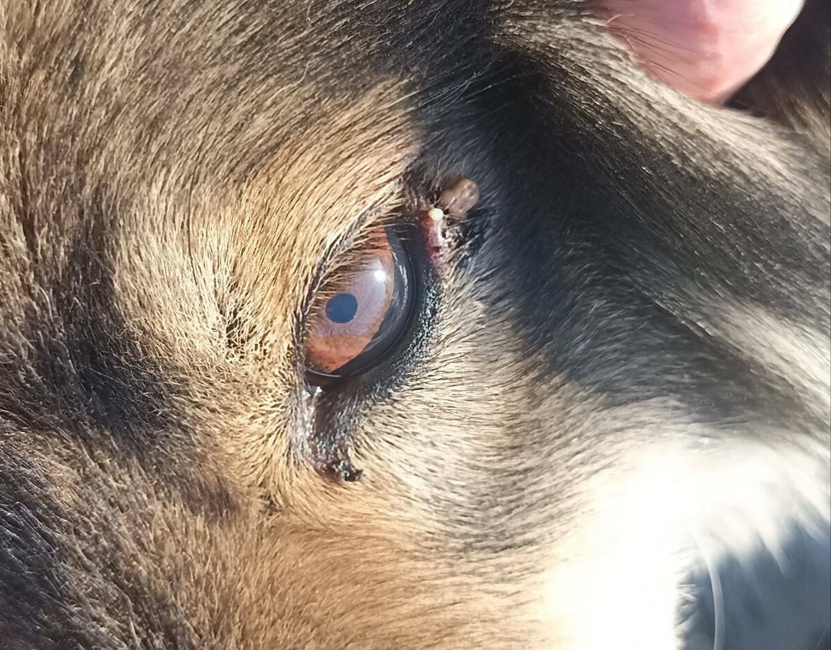    фото: © Беломорск/Официальная группа/VK