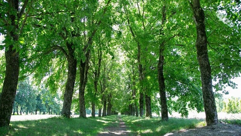    Пожароопасный сезон стартует с 1 апреля на Ставрополье Фото: ИА «Победа26»