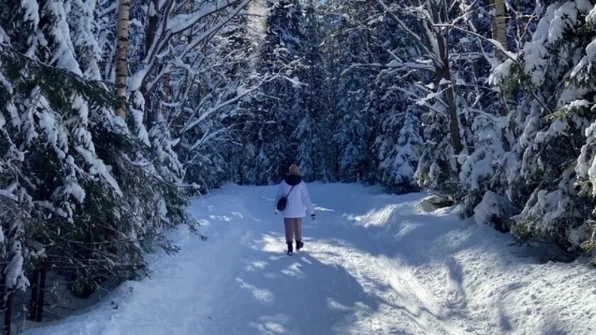    Фото prochepetsk.ru