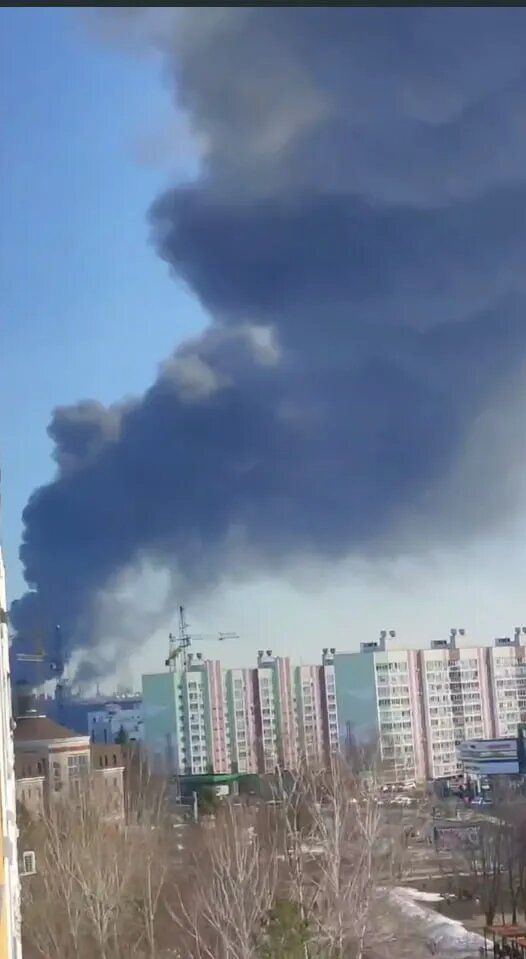    Фото: скрин видео из соцсетей