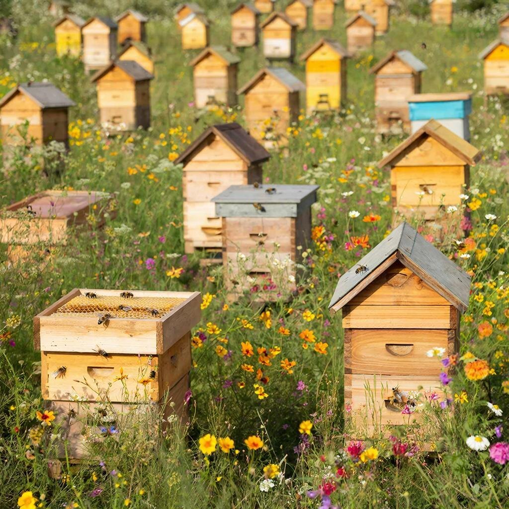 Изображение сгенерировано сервисом GigaChat 