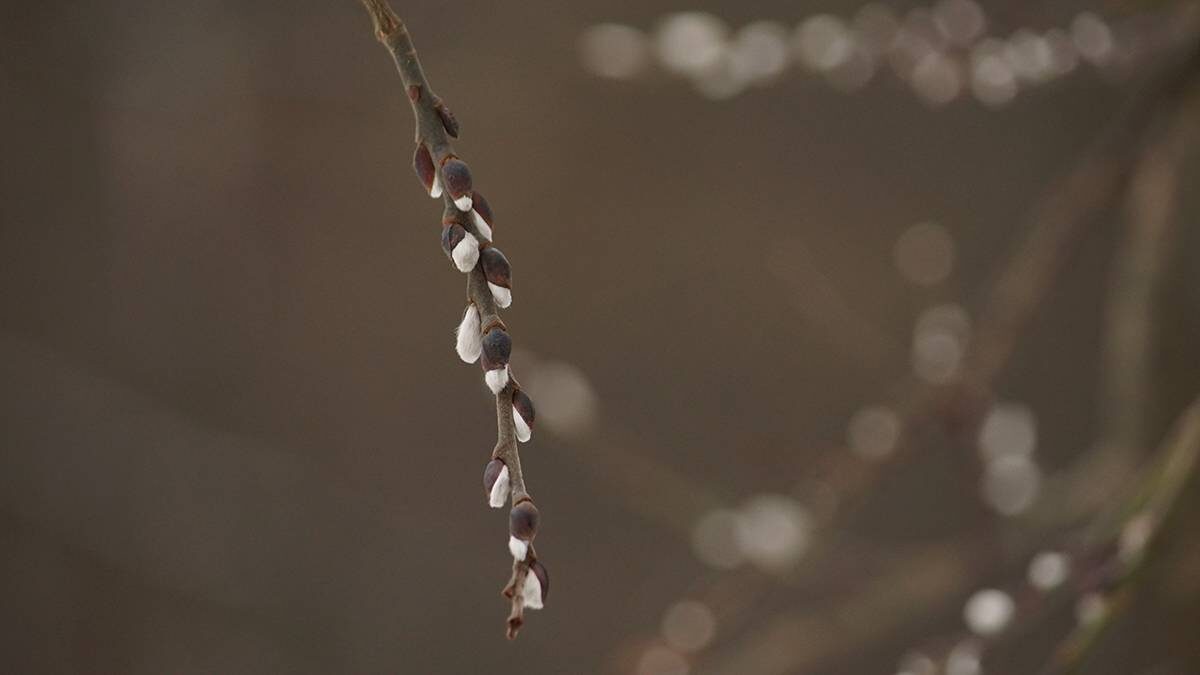    Фото: Анатолий Цымбалюк / Вечерняя Москва