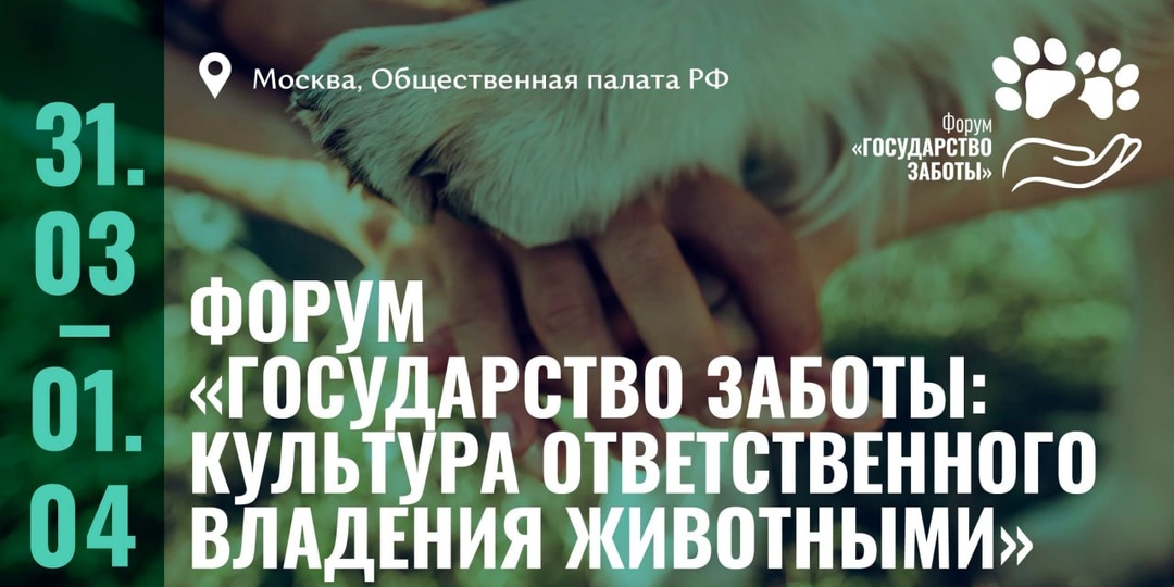 Сегодня стартовал двухдневный форум «Государство заботы: культура ответственного владения животными