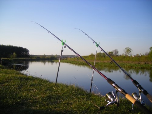 Сборка фидерной снасти: полное руководство для начинающих