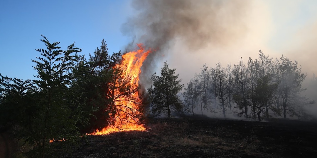 В четырех районах Волгоградской области объявлен высокий уровень пожароопасности