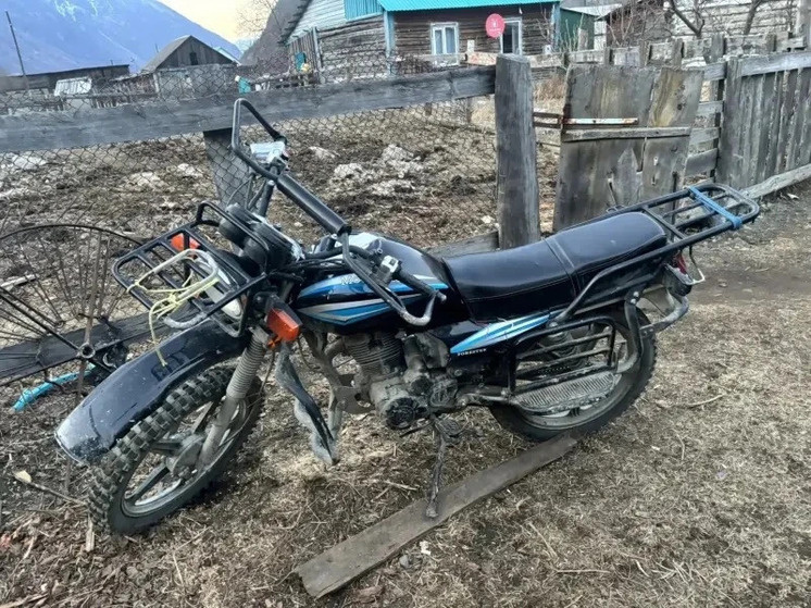     Фото: ГАИ Республики Алтай