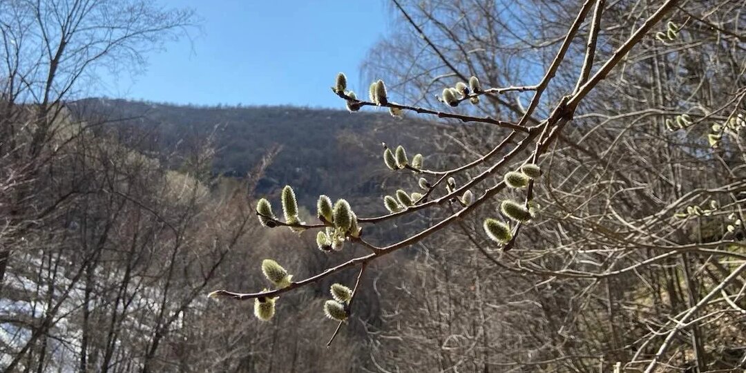 Погода в Стерлитамаке на среду, 1 апреля 2026 года