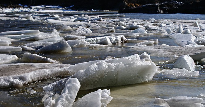 фото из Яндекса