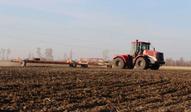    Фото: Минсельхоз Алтайского края