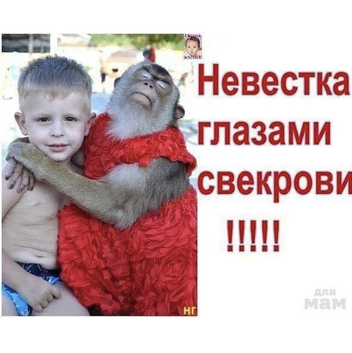 С просторов интернета 🛜 