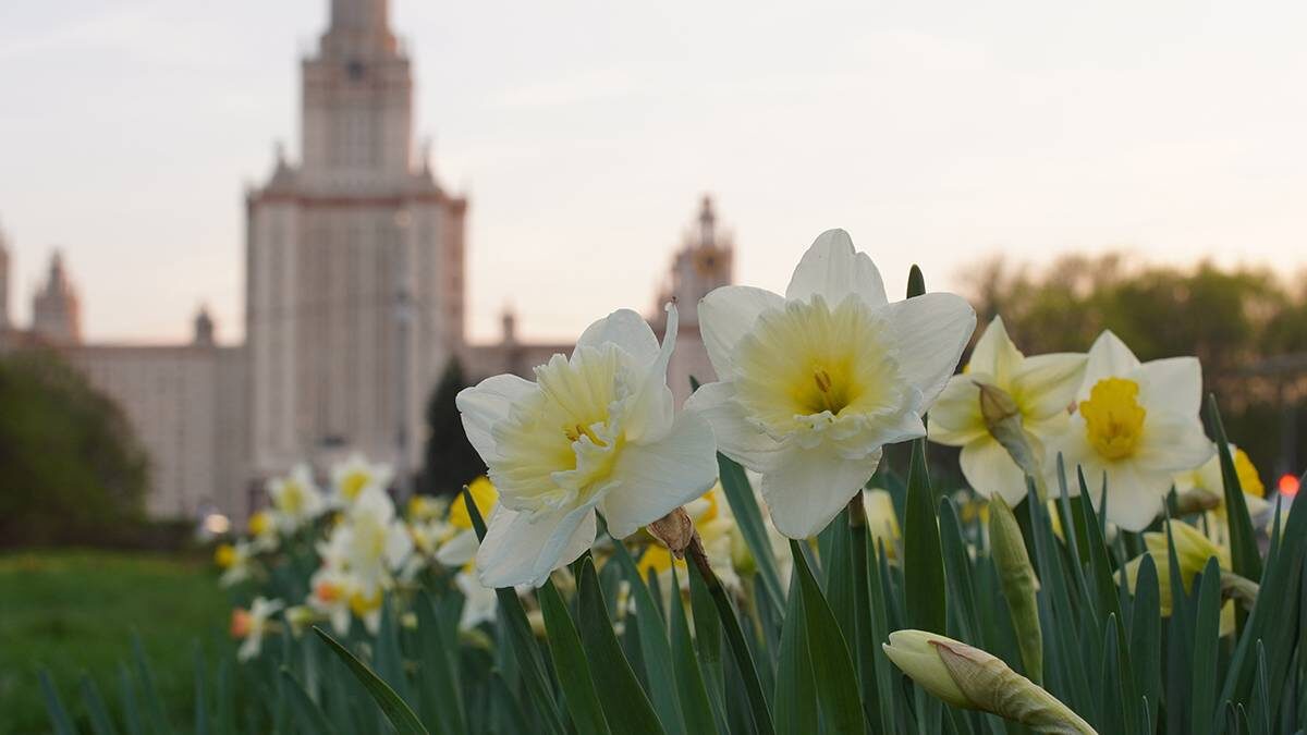    Фото: Анатолий Цымбалюк / Вечерняя Москва