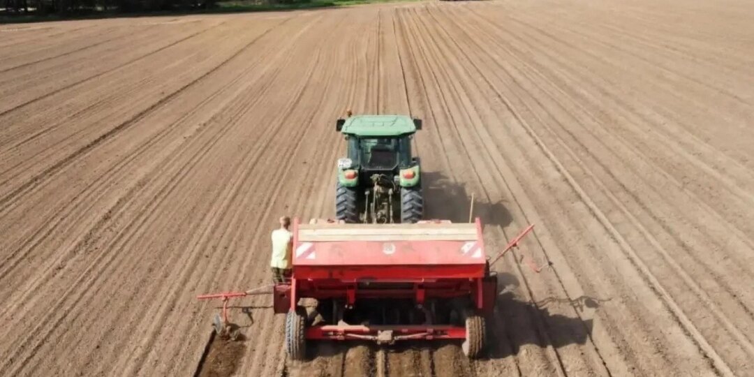 На счета аграриев Поморья поступила первая часть господдержки на 2026 год