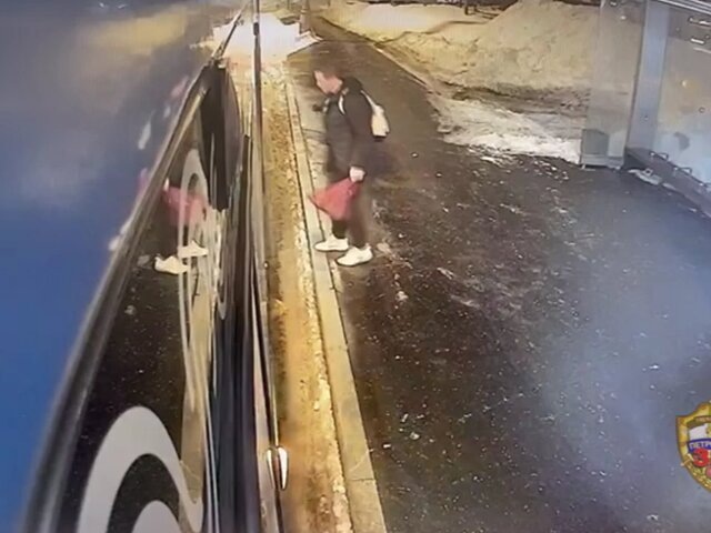    Фото: 77.мвд.рф