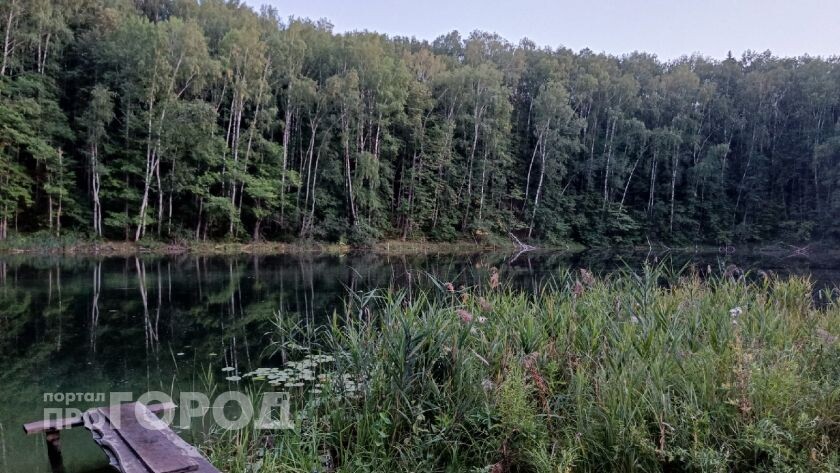    из архива "Про Город"