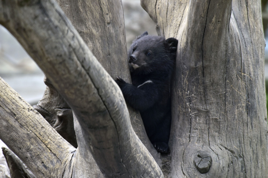    Oleksandr Lapin/Keystone Press Agency/Global Look Press