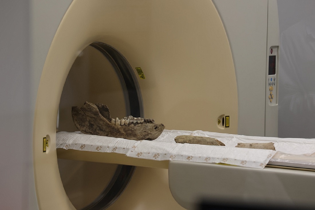    Фото: Варвара Фролкина, пресс-служба НГУ