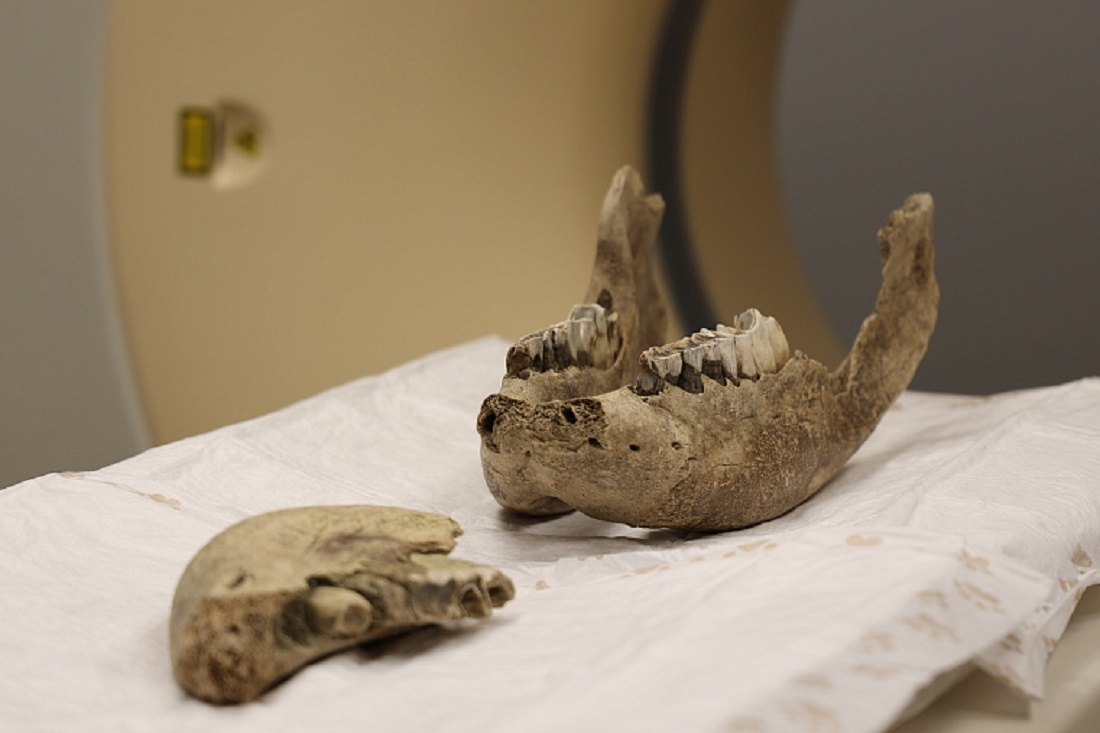    Фото: Варвара Фролкина, пресс-служба НГУ