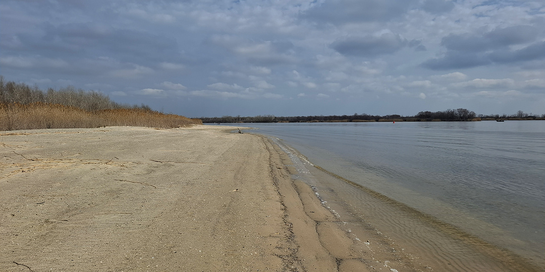 Третий поисковый рейд 2026 г. Песчаный берег Дона