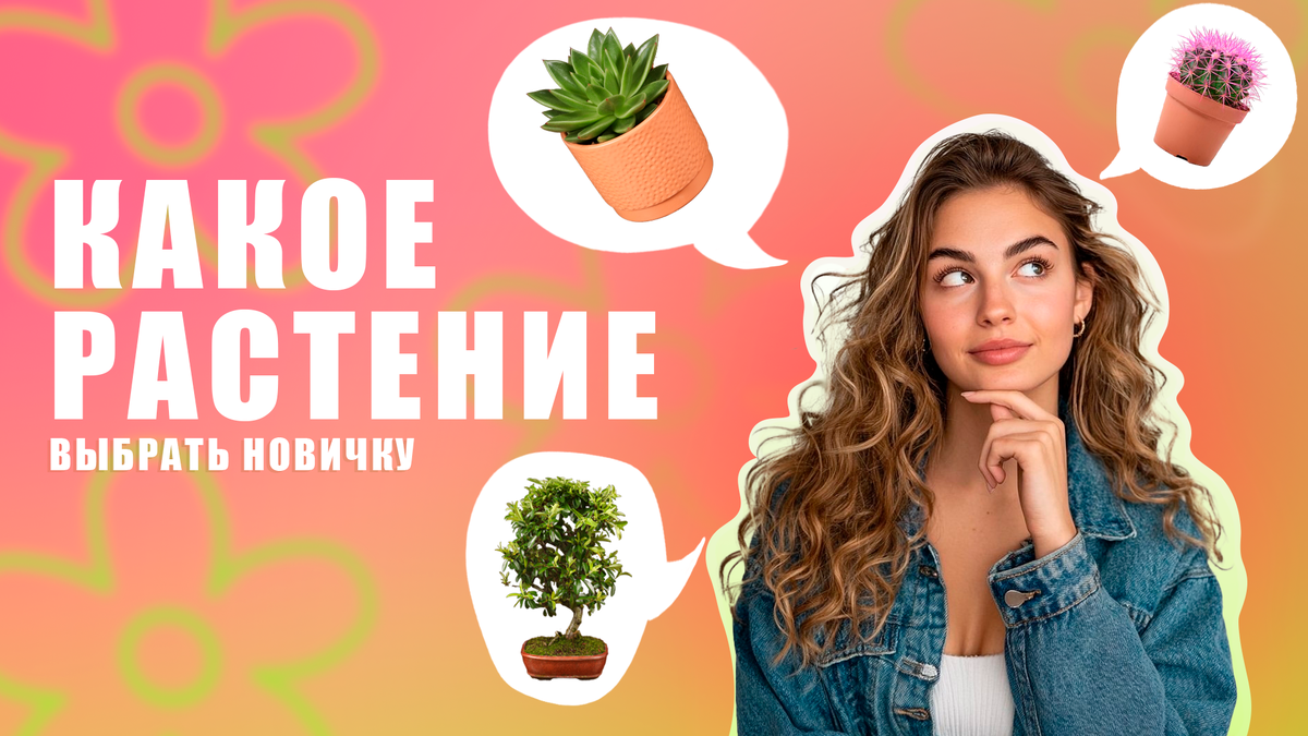 Магазин Luxury Plants