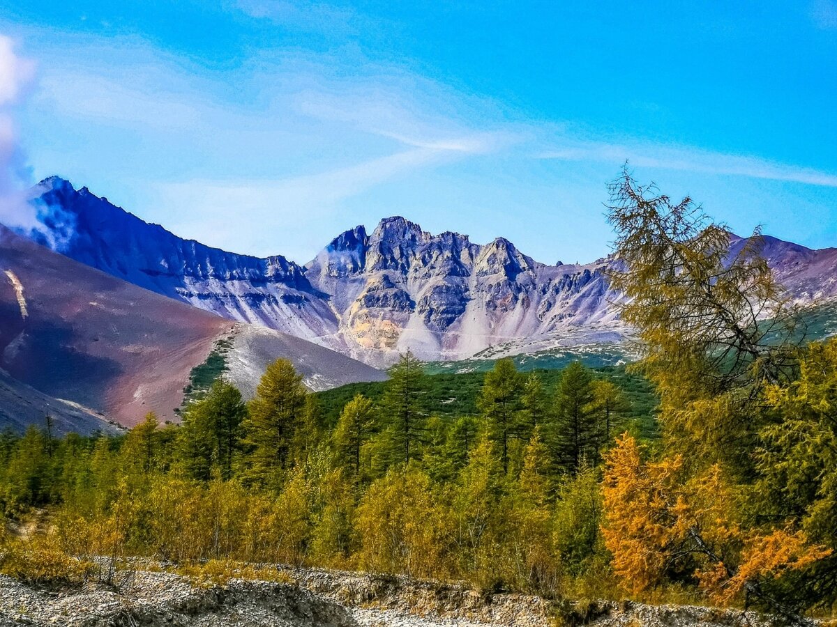 Фото: Артем Бондарь