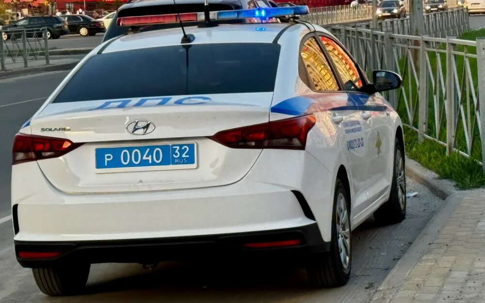    Фото: «Брянские новости»