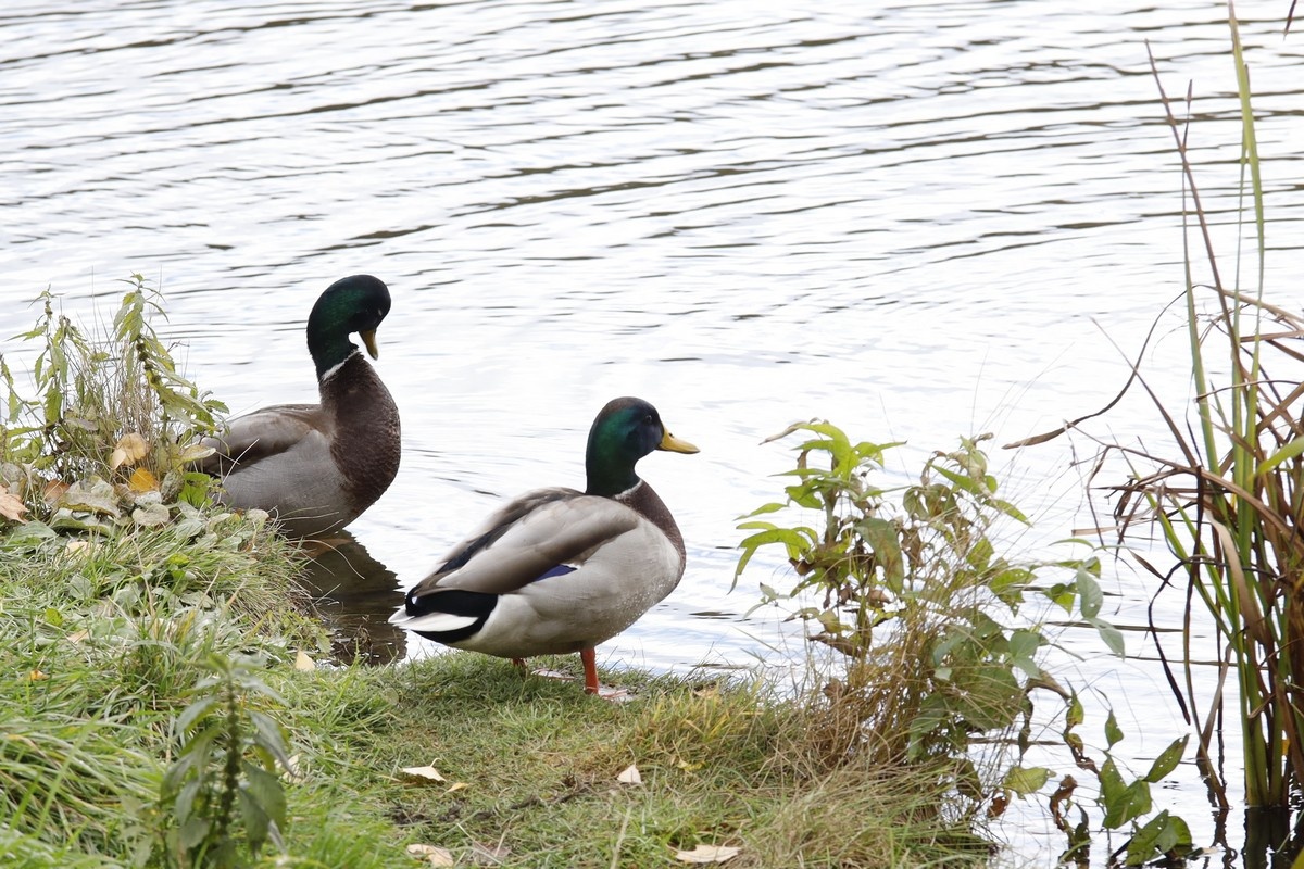 Фото: ИА «Регион 71»