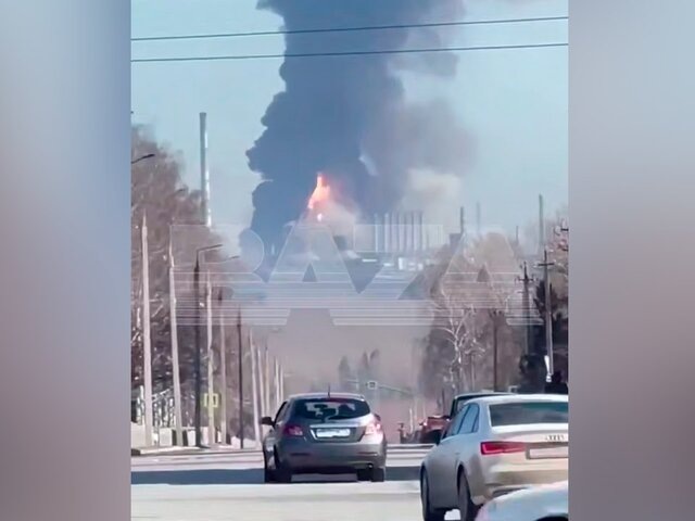    Фото: телеграм-канал Baza