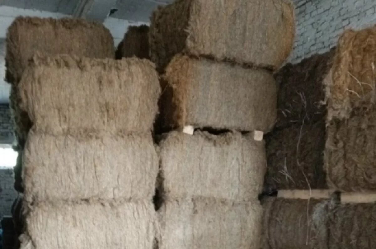    В 2026 году поставки очёсов льна из Удмуртии в Китай выросли в 5 раз