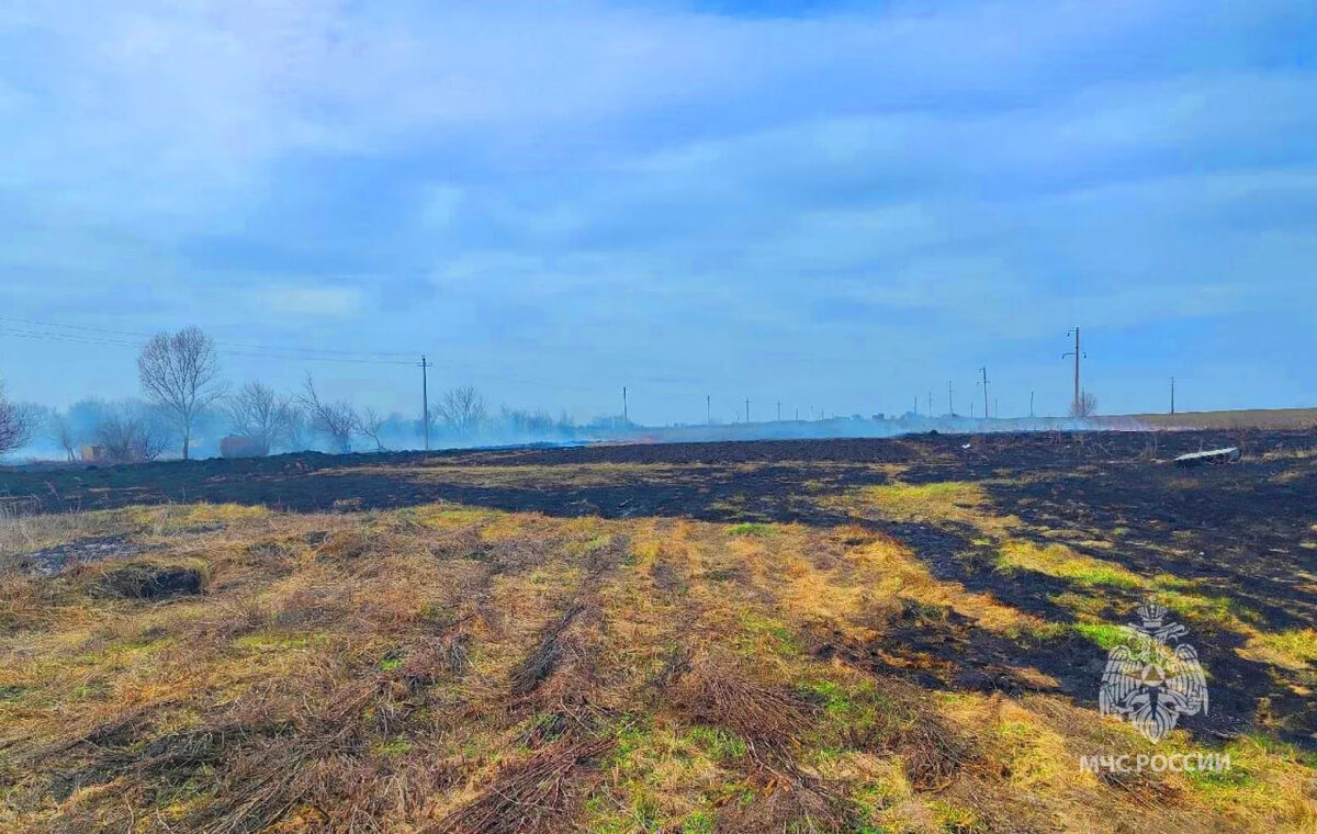 Фото: ГУ МЧС России по Курской области