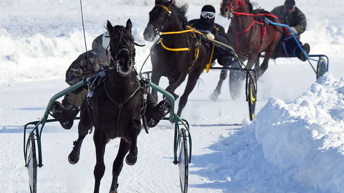 © photo: Sputnik / Ilya Naymushin